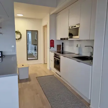 Tilava Kattohuoneisto Suurella Parvekkeella Appartamento *