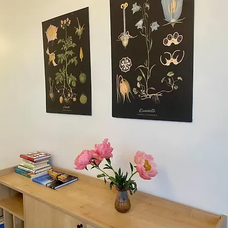 Tilava Kattohuoneisto Suurella Parvekkeella *